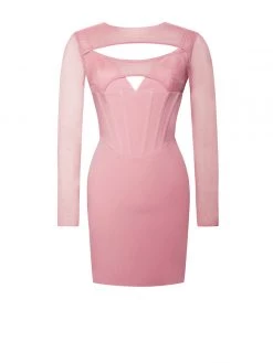 Miss Circle Winston Blush Pink Mesh Long Sleeve Corset Crepe Dress