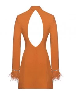 Miss Circle Dresses Quilla Orange Feather Crystal Sleeve Backless Blazer Dress