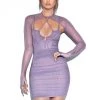 Miss Circle Flora Purple Mesh Long Sleeve Dress Dresses