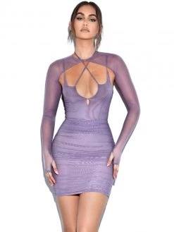 Miss Circle Flora Purple Mesh Long Sleeve Dress Dresses